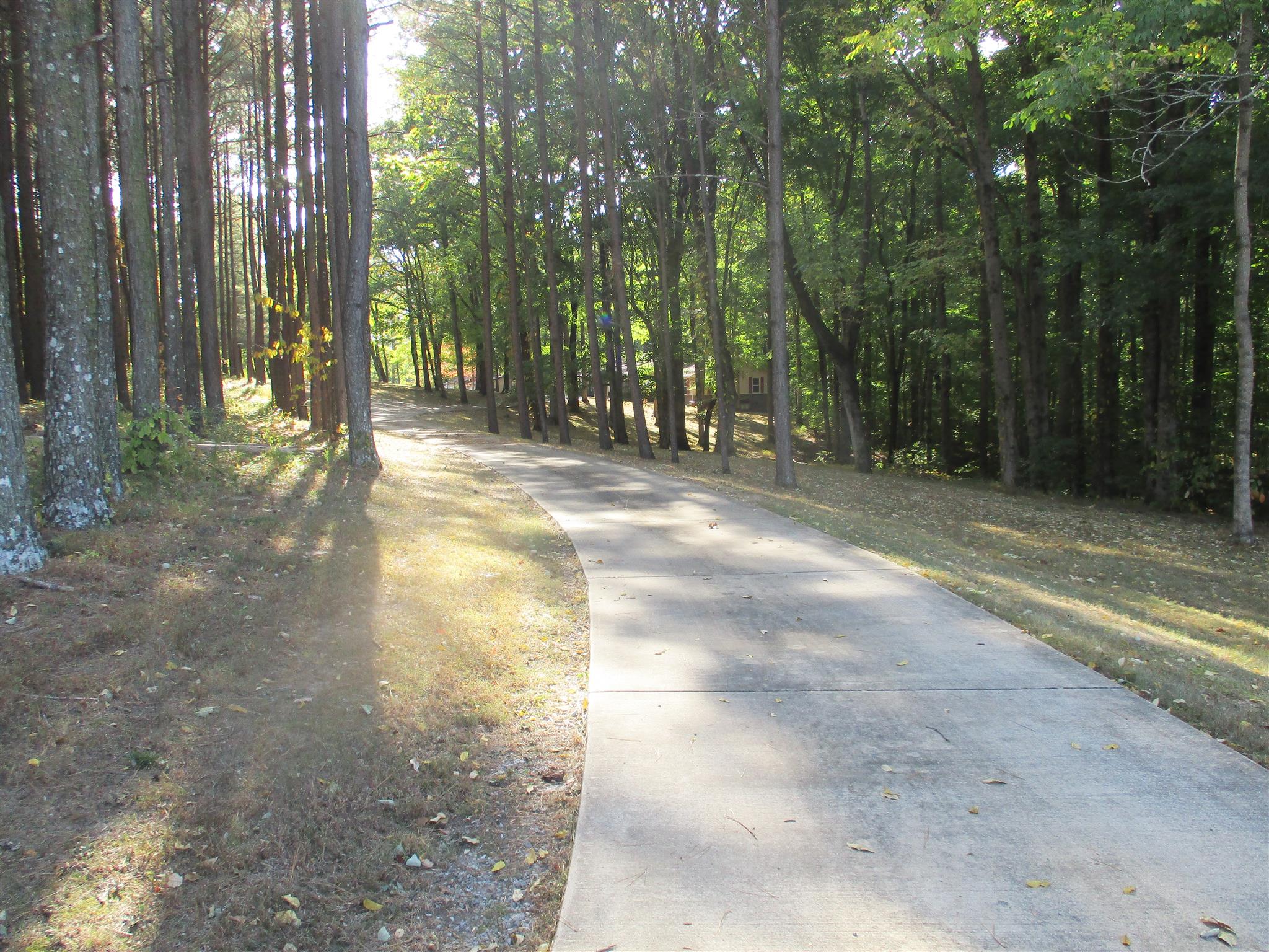 1073 West Point Road Lawrenceburg, TN 38464 - Photo 8 of 24 a view of a trees with trees in the background