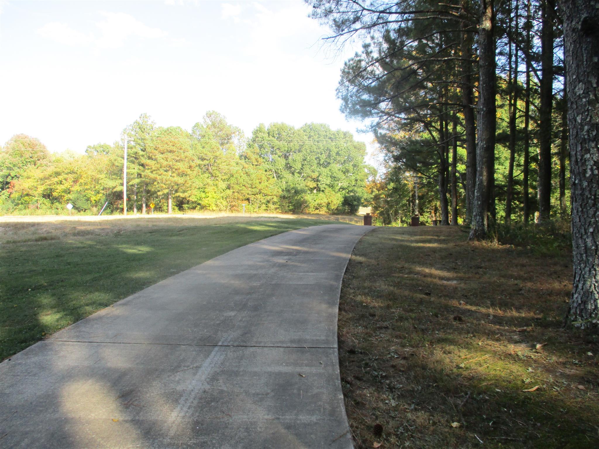 1073 West Point Road Lawrenceburg, TN 38464 - Photo 9 of 24 a view of a yard with an trees