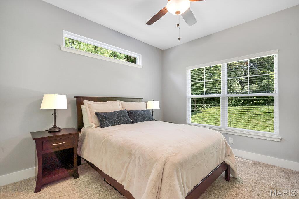 8913 Wheat Drive Troy, IL 62294 - Photo 39 of 50