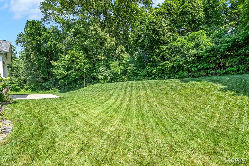 8913 Wheat Drive Troy, IL 62294 - Photo 10 of 50