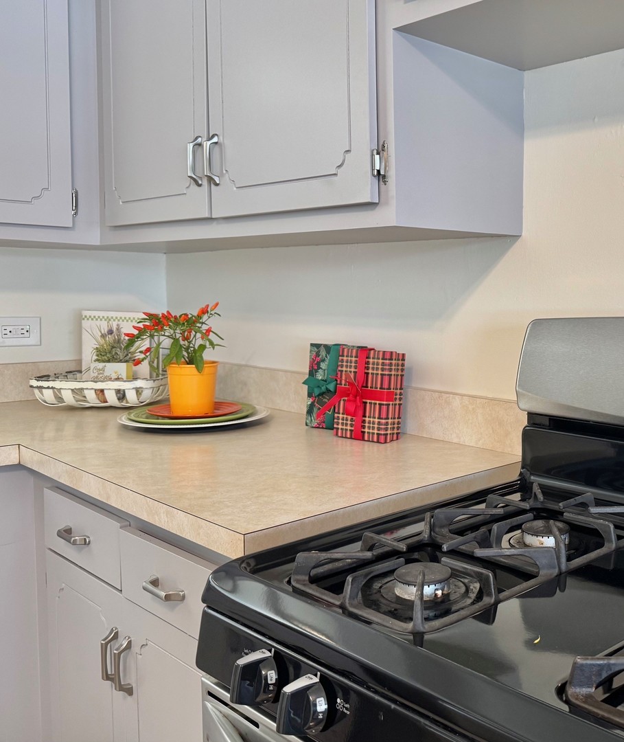 3051 South Scott Street Des Plaines, IL 60018 - Photo 10 of 43 a close view of a stove a microwave and cabinets