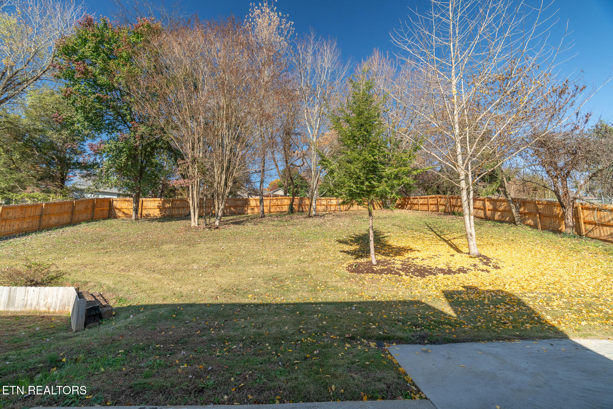 12312 West Kingsgate Road Knoxville, TN 37934 - Photo 38 of 39 untitled-38