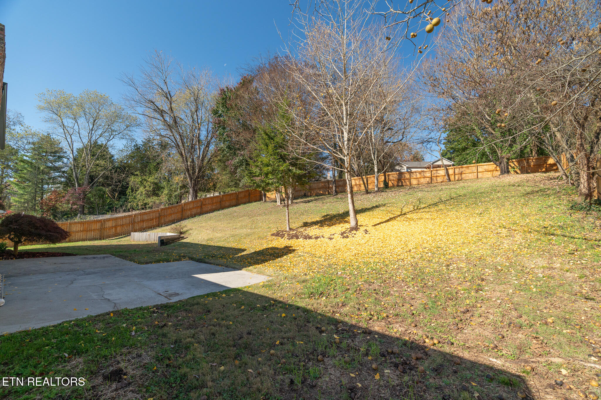 12312 West Kingsgate Road Knoxville, TN 37934 - Photo 39 of 39 untitled-39