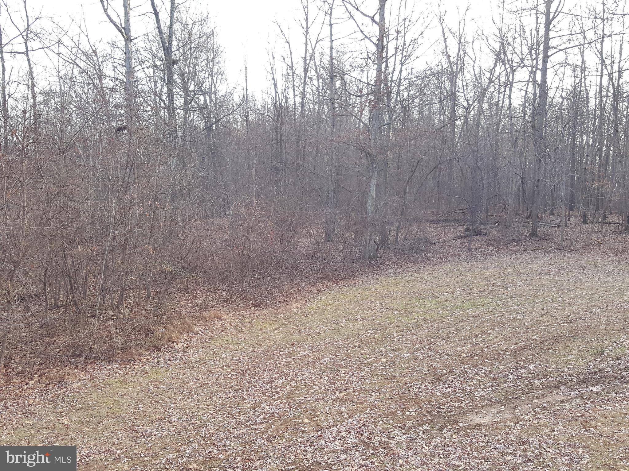 2555 Ebbvale Road Manchester, MD 21102 - Photo 6 of 28 REAR VIEW OF LAND FROM THE HOUSE