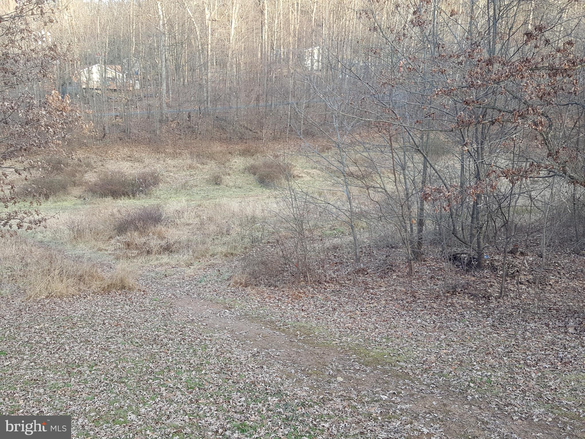 2555 Ebbvale Road Manchester, MD 21102 - Photo 7 of 28 SIDE VIEW OF THE LAND FROM THE HOUSE