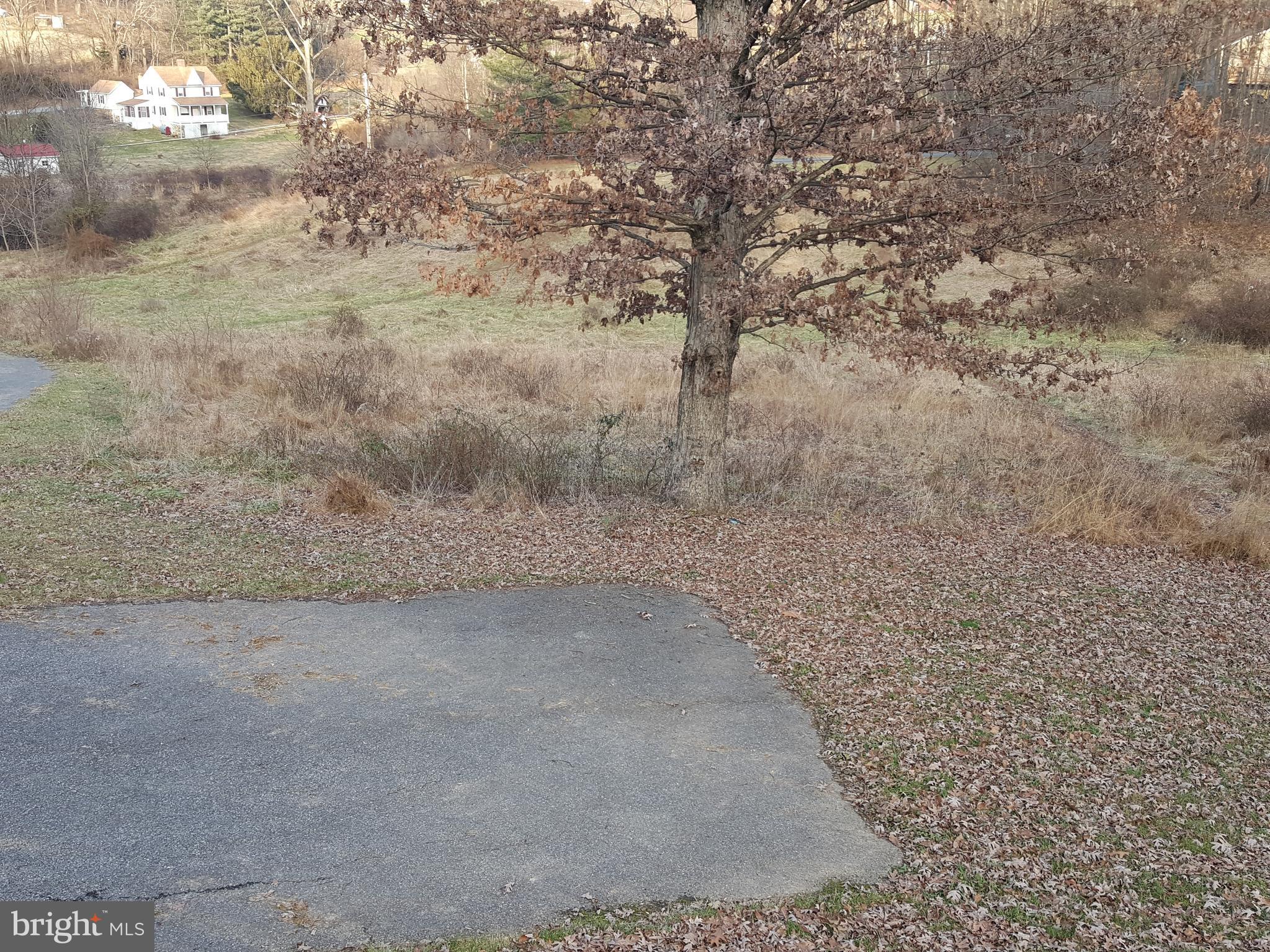 2555 Ebbvale Road Manchester, MD 21102 - Photo 8 of 28 FRONT VIEW OF THE LAND FROM THE HOUSE.