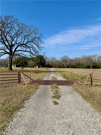 a view of a yard with a tree
