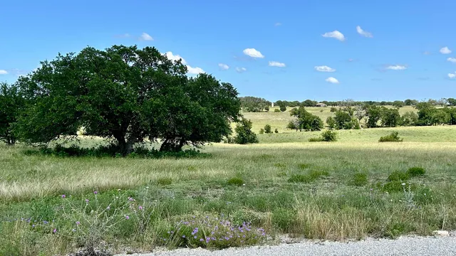a view of outdoor space with green space
