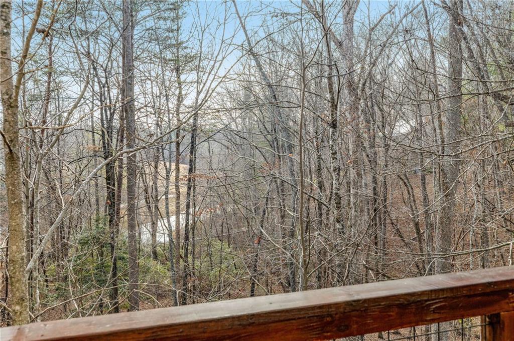 195 Skunk Hollow Road Cleveland, GA 30528 - Photo 39 of 67