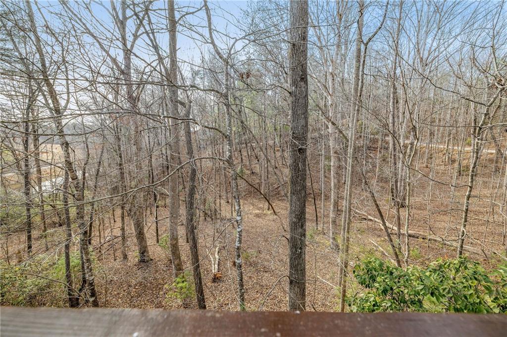 195 Skunk Hollow Road Cleveland, GA 30528 - Photo 41 of 67