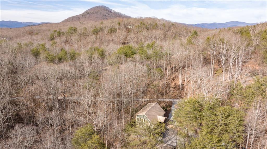 195 Skunk Hollow Road Cleveland, GA 30528 - Photo 49 of 67