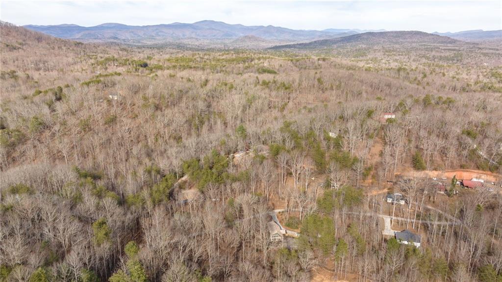 195 Skunk Hollow Road Cleveland, GA 30528 - Photo 61 of 67