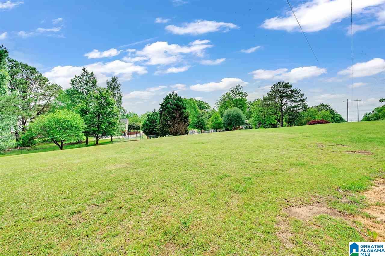 6456 Water Works Road Mount Olive, AL 35117 - Photo 31 of 40