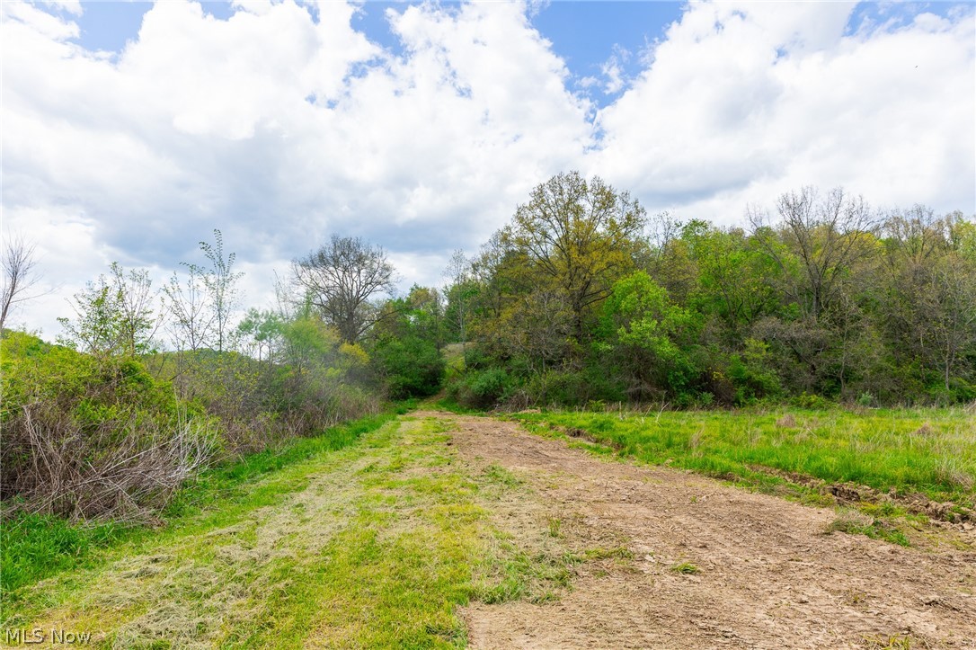 69800 Skull Fork Road Freeport, OH 43973 - Photo 38 of 50