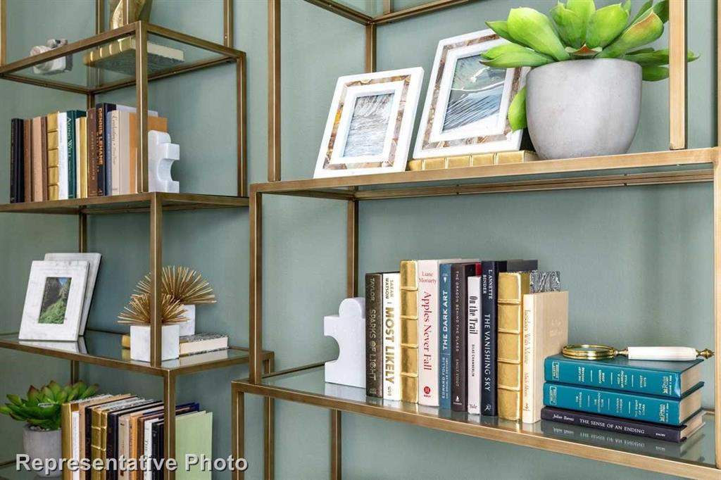 4411 Azalea Trail Oak Point, TX 75068 - Photo 37 of 39 Study (Representative Photo)