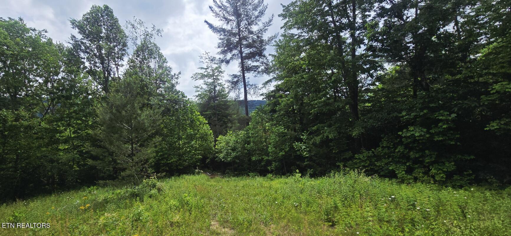 1095 Stanley Creek Road Oneida, TN 37841 - Photo 45 of 57 20260519_113745