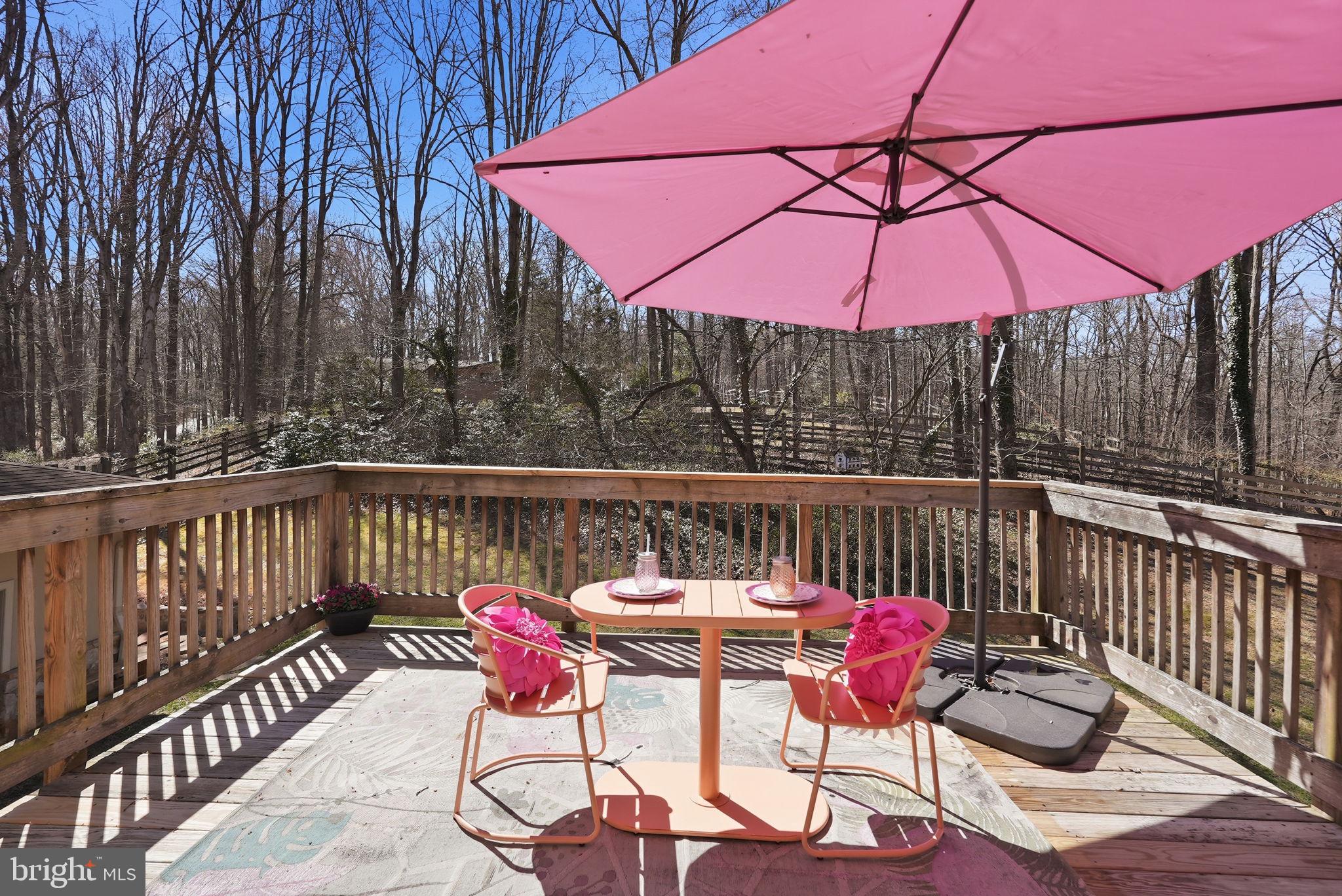 16420 Black Rock Road Darnestown, MD 20874 - Photo 48 of 111