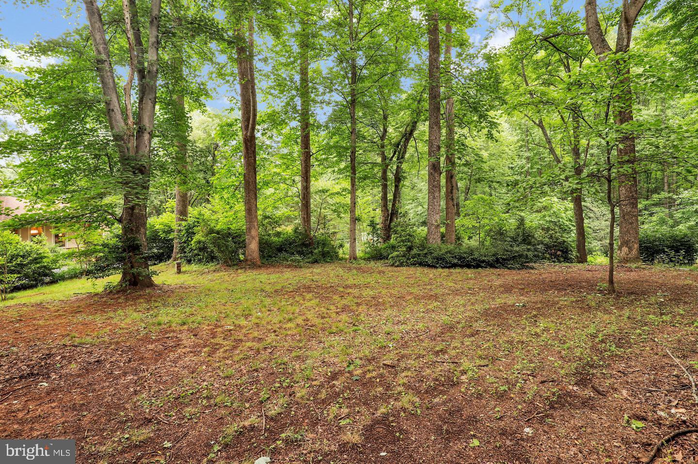 16420 Black Rock Road Darnestown, MD 20874 - Photo 83 of 111