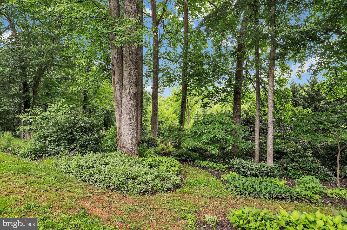 16420 Black Rock Road Darnestown, MD 20874 - Photo 89 of 111