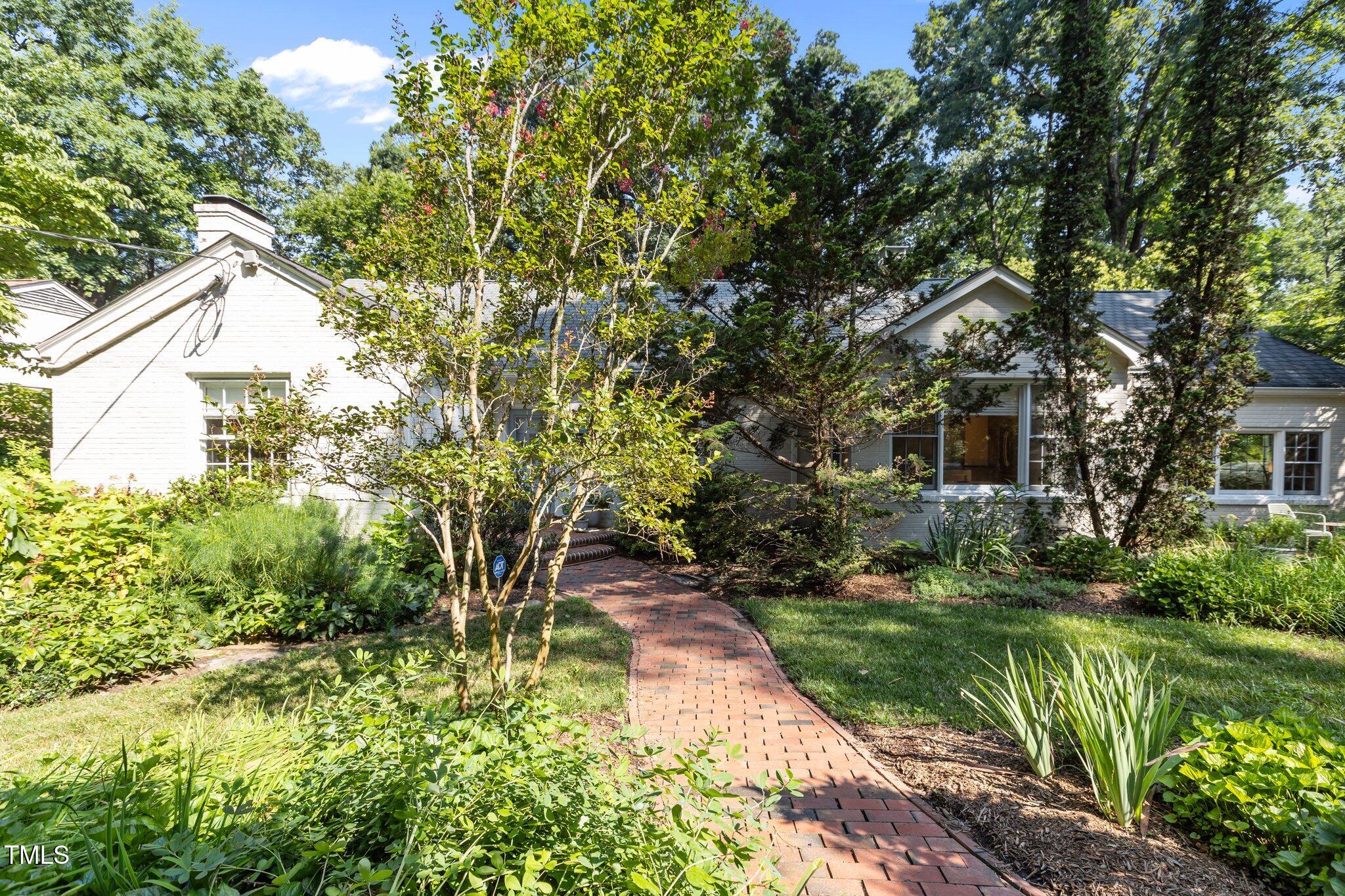 a view of a garden with plants