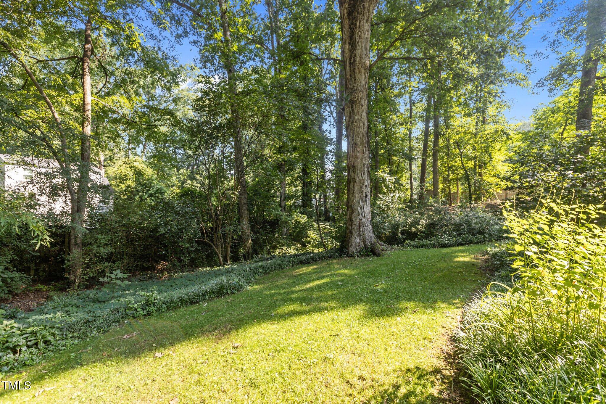 2706 Stuart Drive Durham, NC 27707 - Photo 22 of 26 a view of a trees with a yard