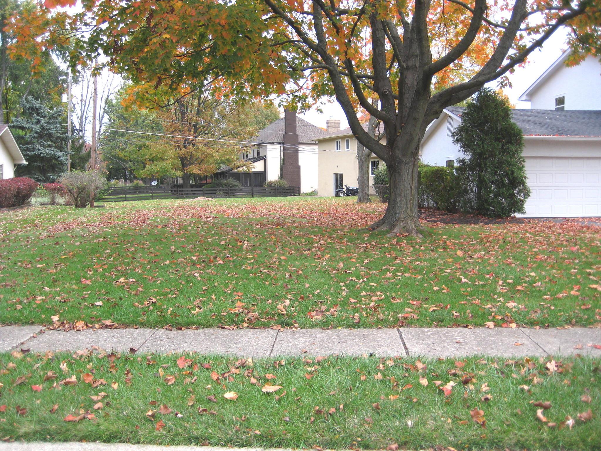 1730 Ardwick Road Upper Arlington, OH 43220 - Photo 26 of 27