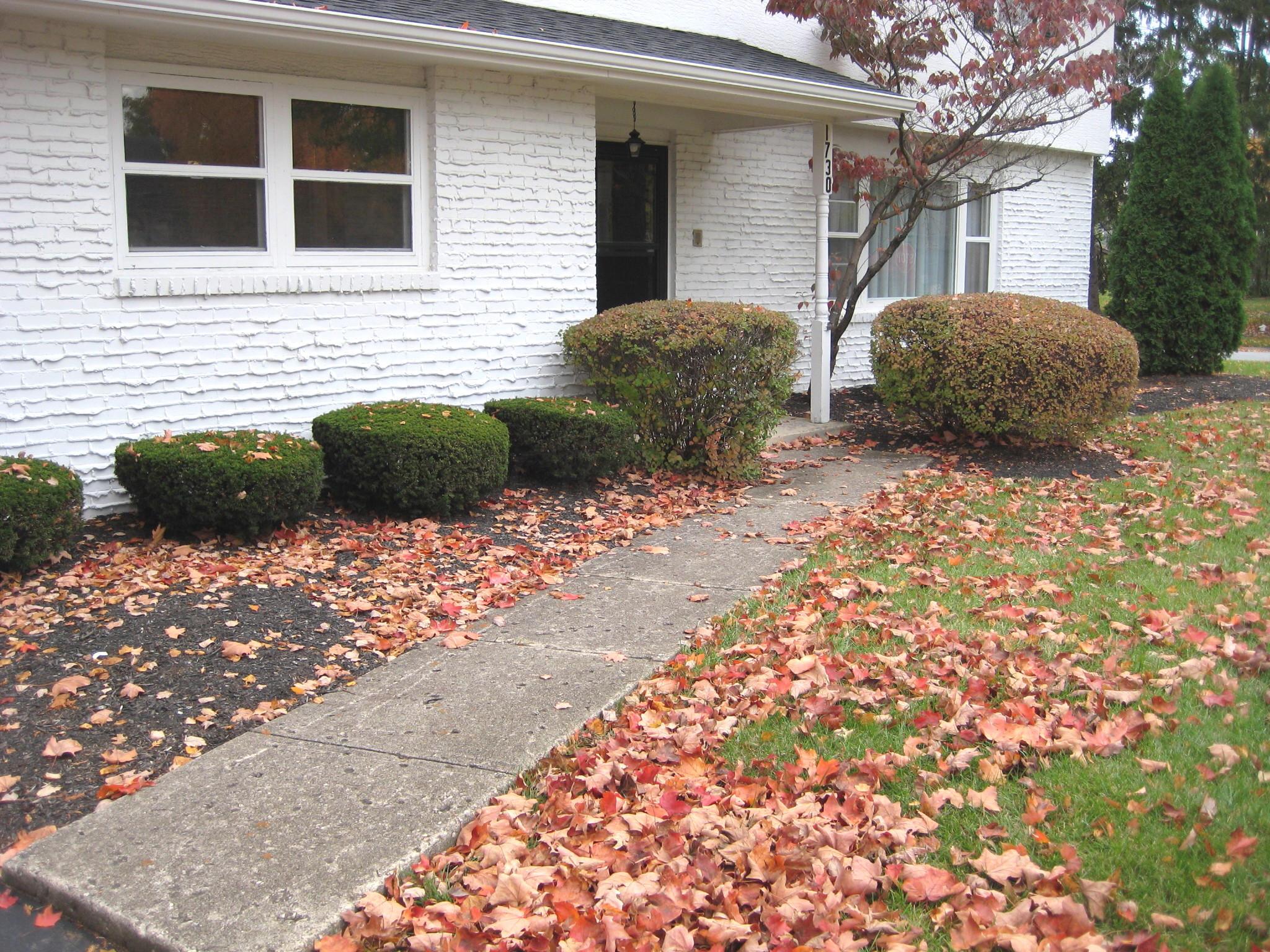 1730 Ardwick Road Upper Arlington, OH 43220 - Photo 3 of 27