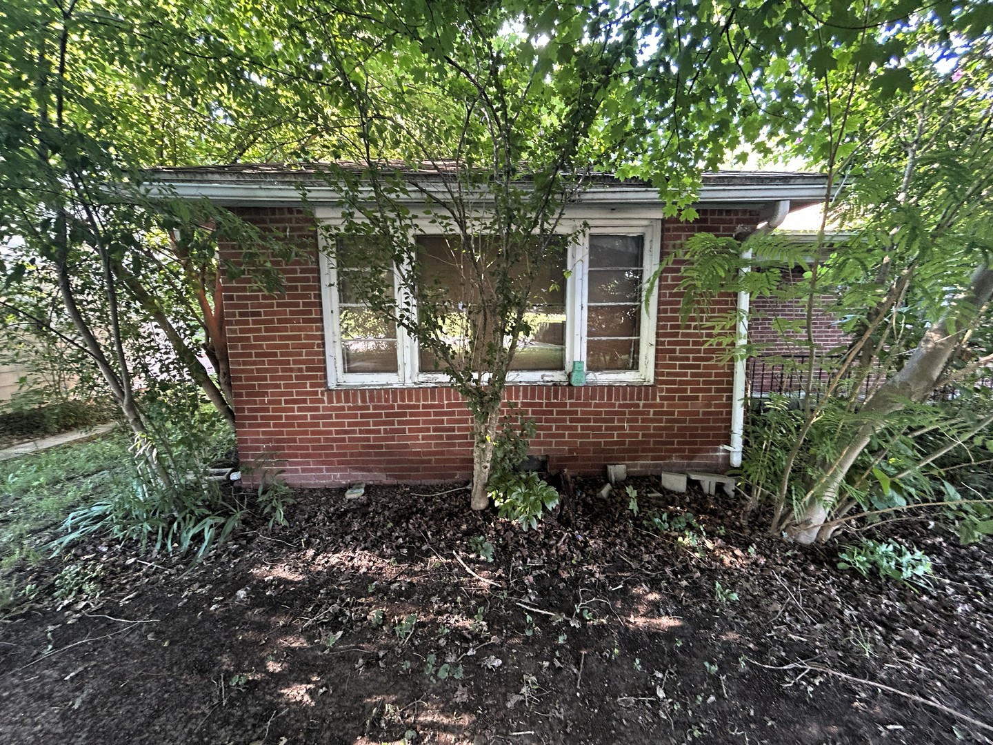 930 Vandalia Road Louisville, IL 62858 - Photo 2 of 13