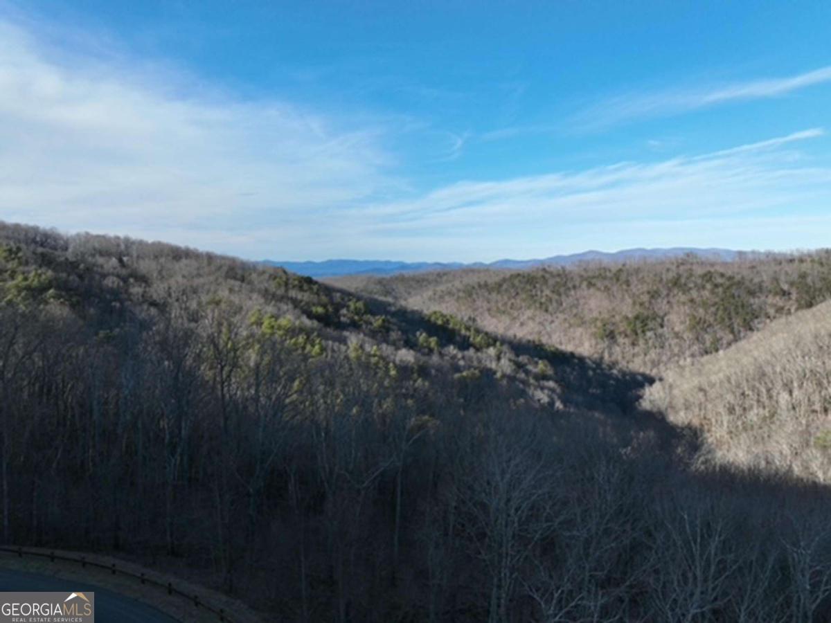 249 Andes Ridge Talking Rock, GA 30175 - Photo 11 of 20