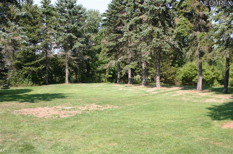 6391 Beach Road Wadsworth, OH 44281 - Photo 4 of 9 Gallery Image 4