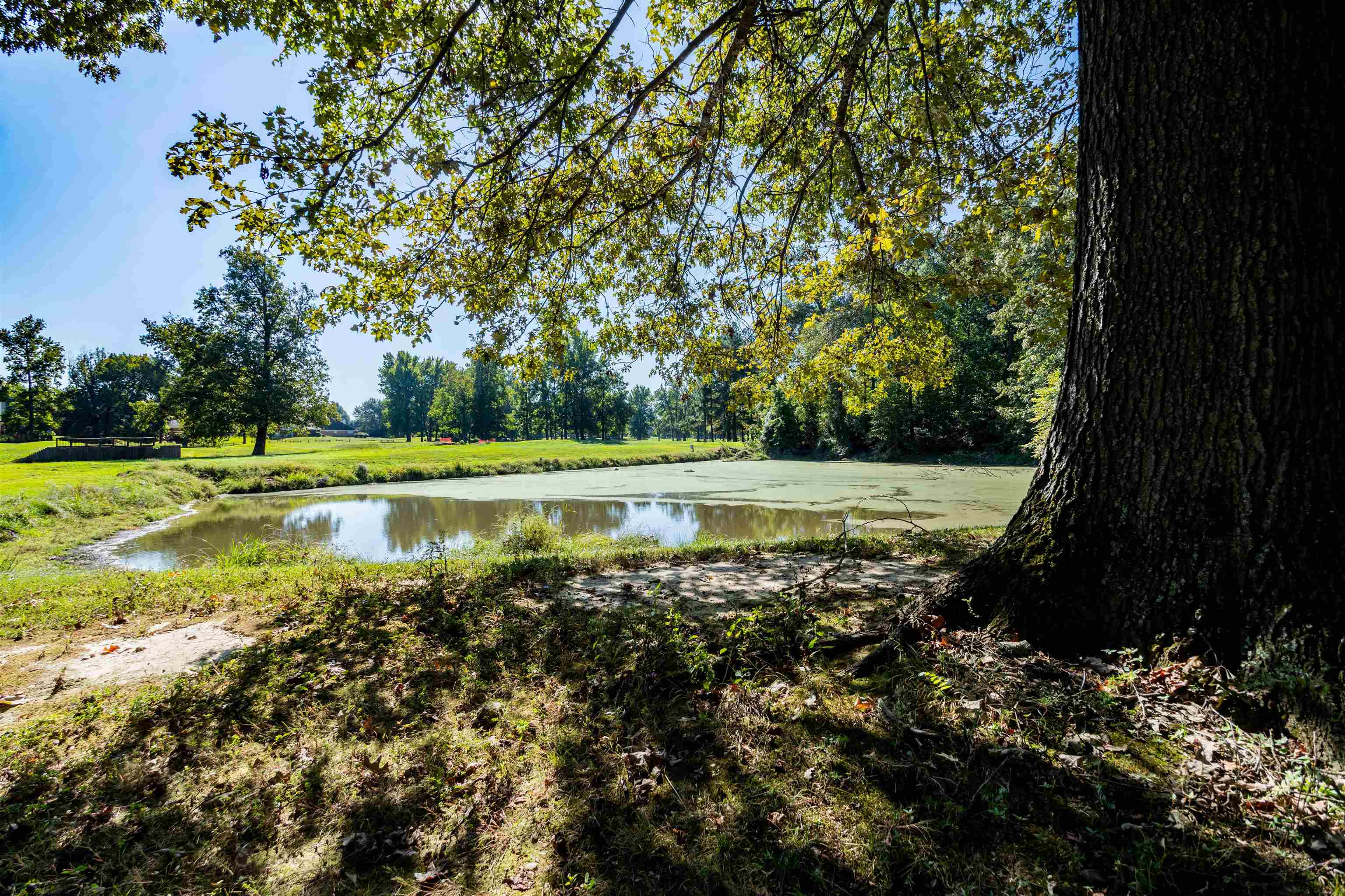 4170 Calla Drive Bartlett, TN 38135 - Photo 39 of 40 a view of a swimming pool with a yard and large trees