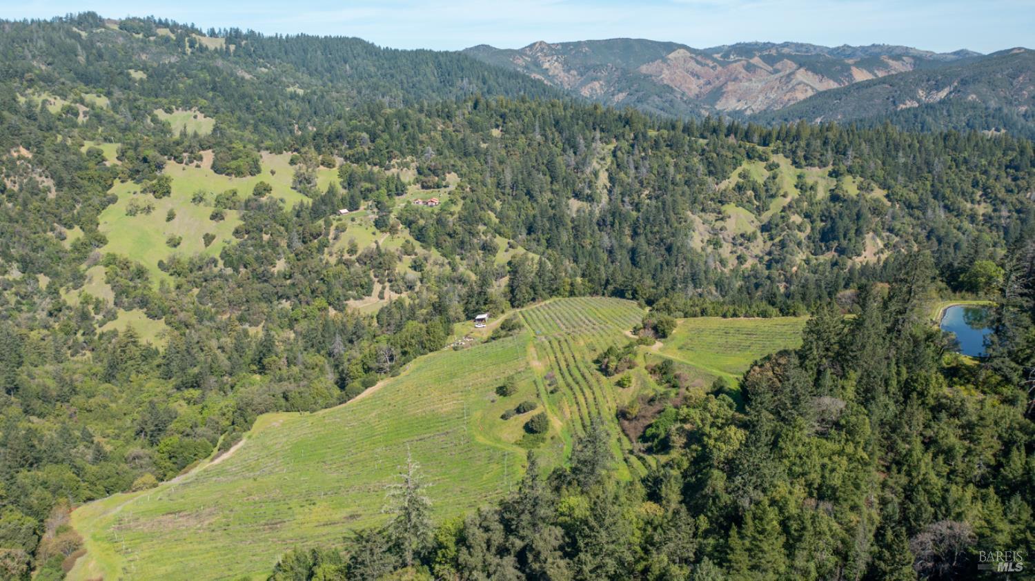 24301 King Ridge Road Cazadero, CA 95421 - Photo 84 of 88 Gallery Image 84