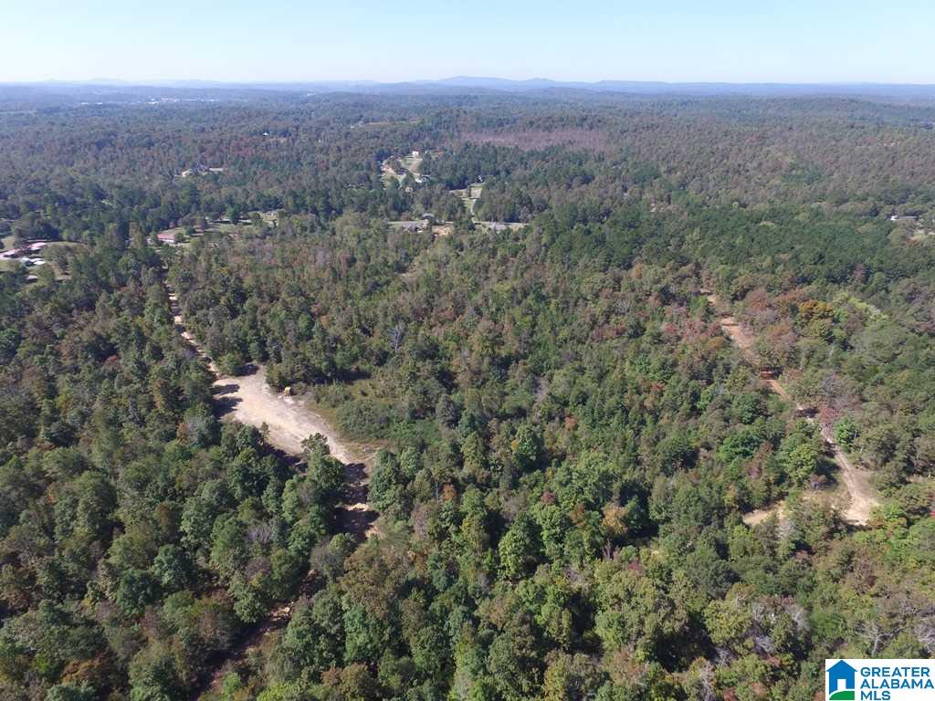 Sprayberry Road, Unit 103 Cropwell, AL 35054 - Photo 13 of 48