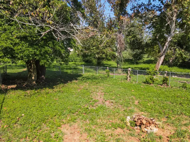 a view of a field with trees