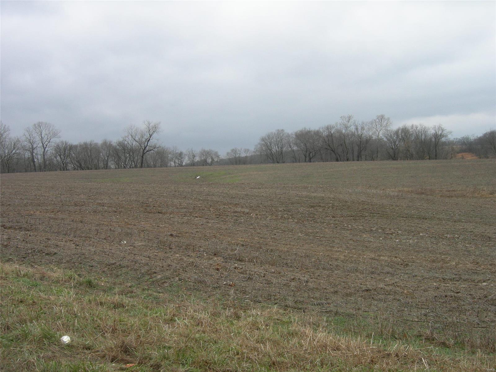 0 State Rte 150 Chester, IL 62233 - Photo 1 of 3