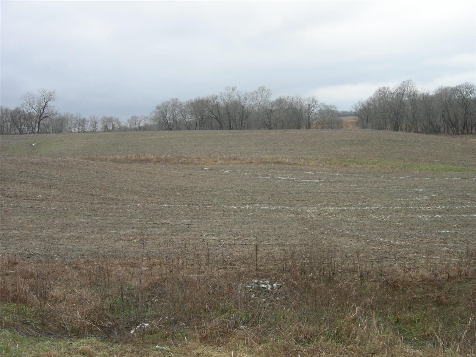 0 State Rte 150 Chester, IL 62233 - Photo 2 of 3