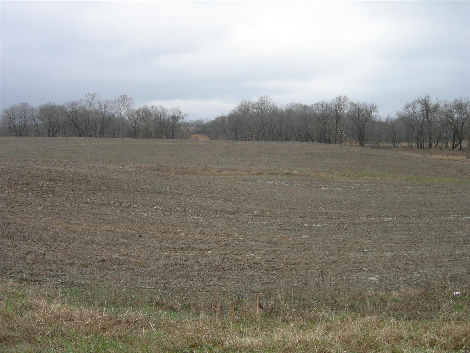 0 State Rte 150 Chester, IL 62233 - Photo 3 of 3