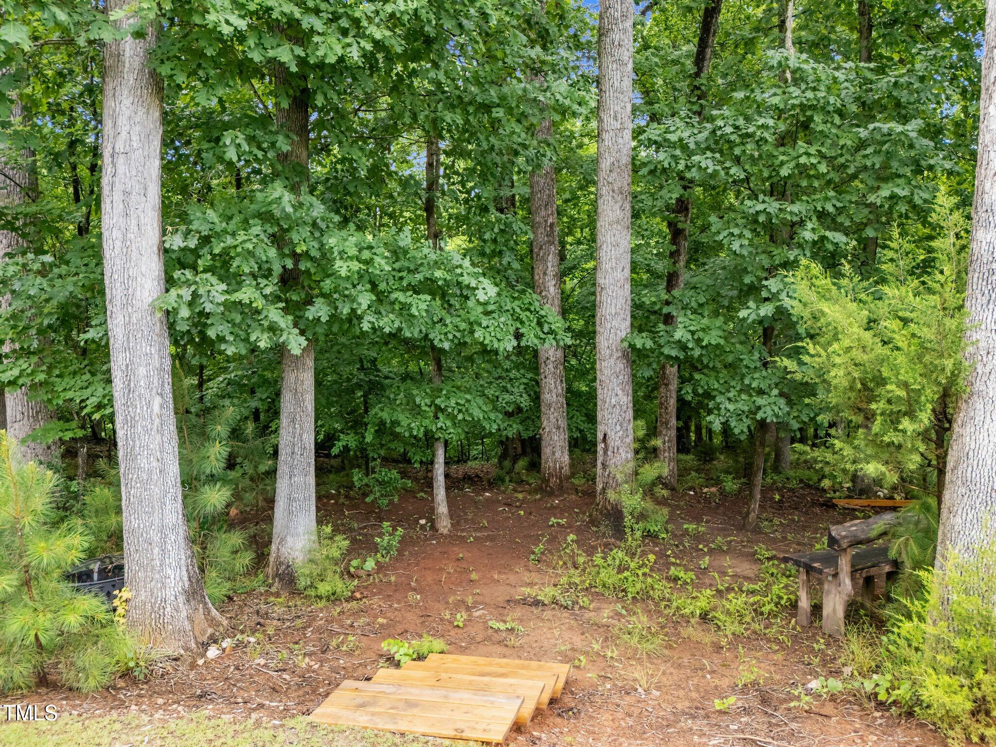 7502 Latteri Court Raleigh, NC 27613 - Photo 47 of 60 47-web-or-mls-DJI_20250616090918_0839_D