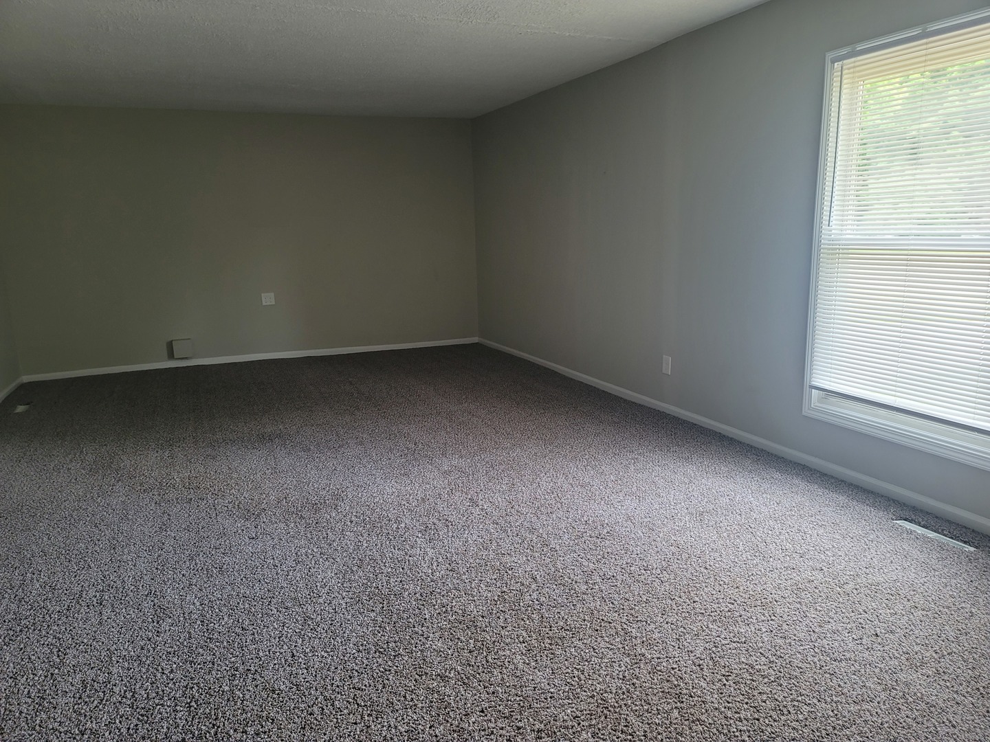 62 Springdale Road Montgomery, IL 60538 - Photo 4 of 12 a view of an empty room with a window