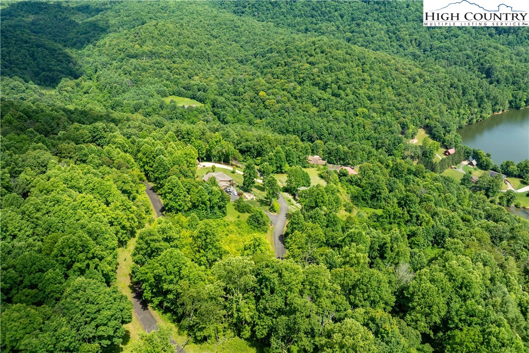 Lot 17 Lake Ridge Butler, TN 37640 - Photo 18 of 28 a view of a lush green forest with lots of trees
