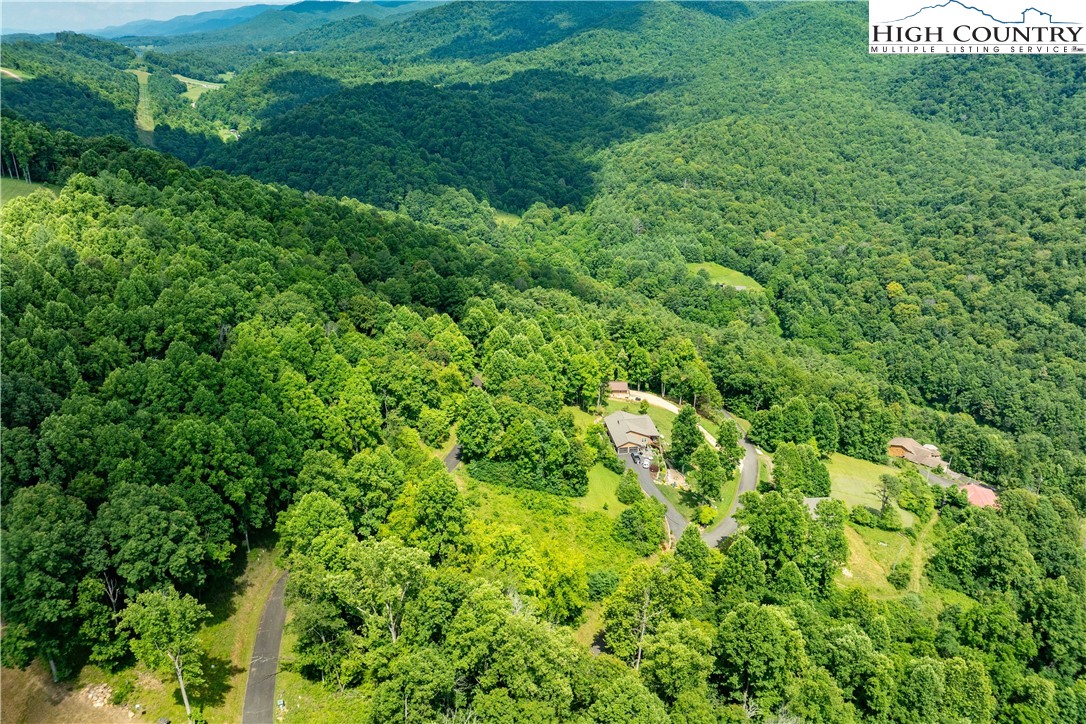 Lot 17 Lake Ridge Butler, TN 37640 - Photo 20 of 28 a view of a lush green forest