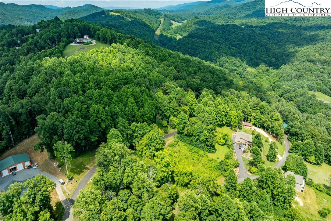 Lot 17 Lake Ridge Butler, TN 37640 - Photo 22 of 28 a view of a lush green forest with lots of trees