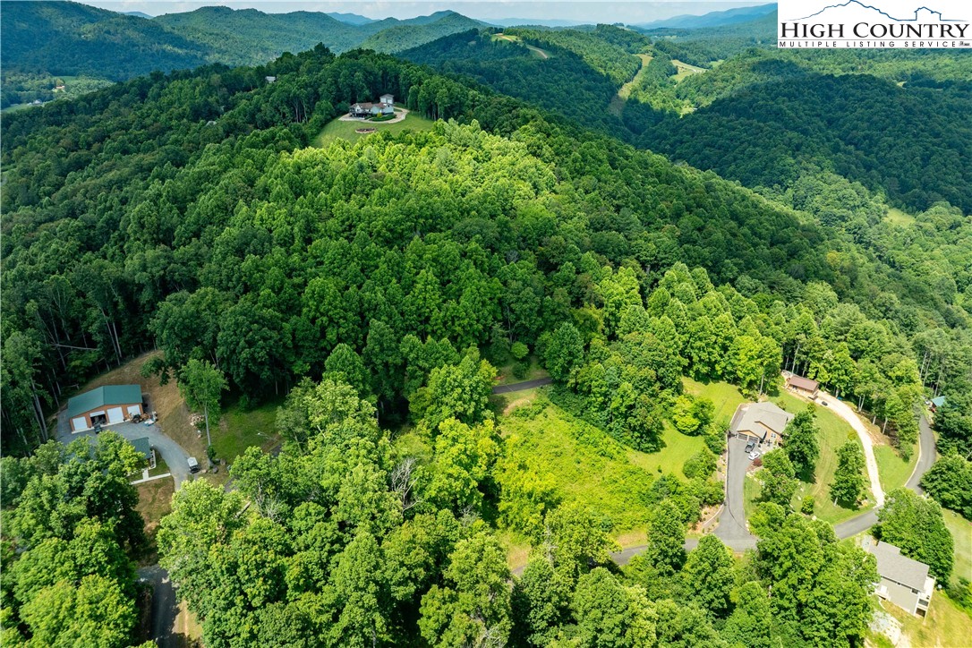 Lot 17 Lake Ridge Butler, TN 37640 - Photo 24 of 28 a view of a lush green forest with houses