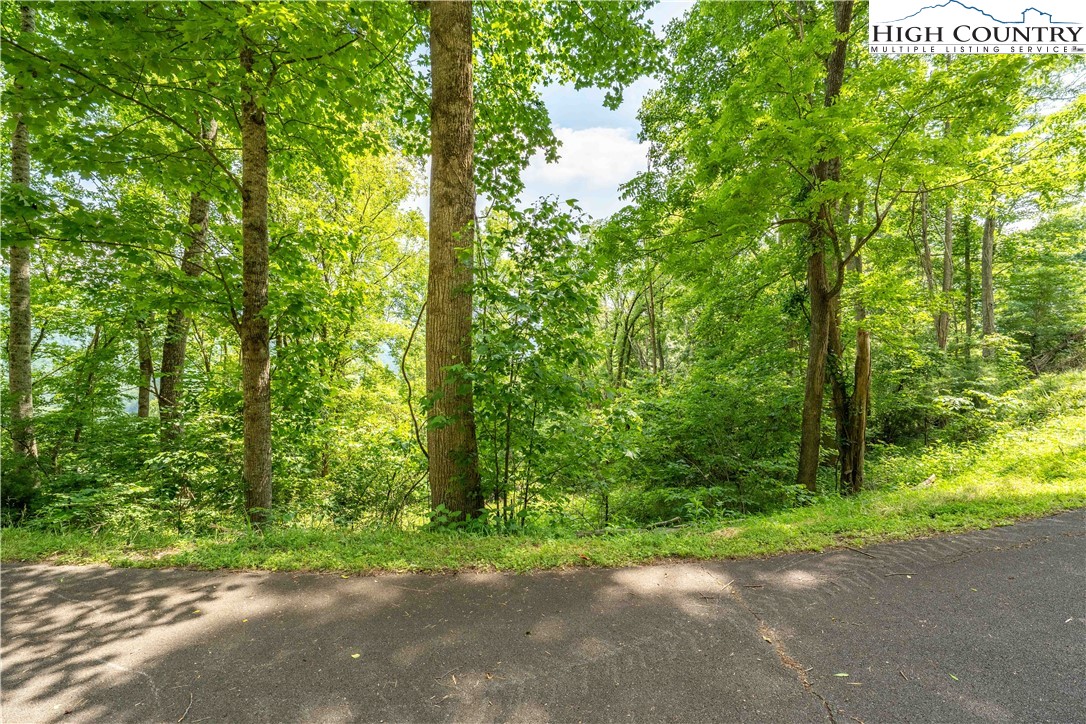 Lot 17 Lake Ridge Butler, TN 37640 - Photo 25 of 28 a view of a yard with plants and trees