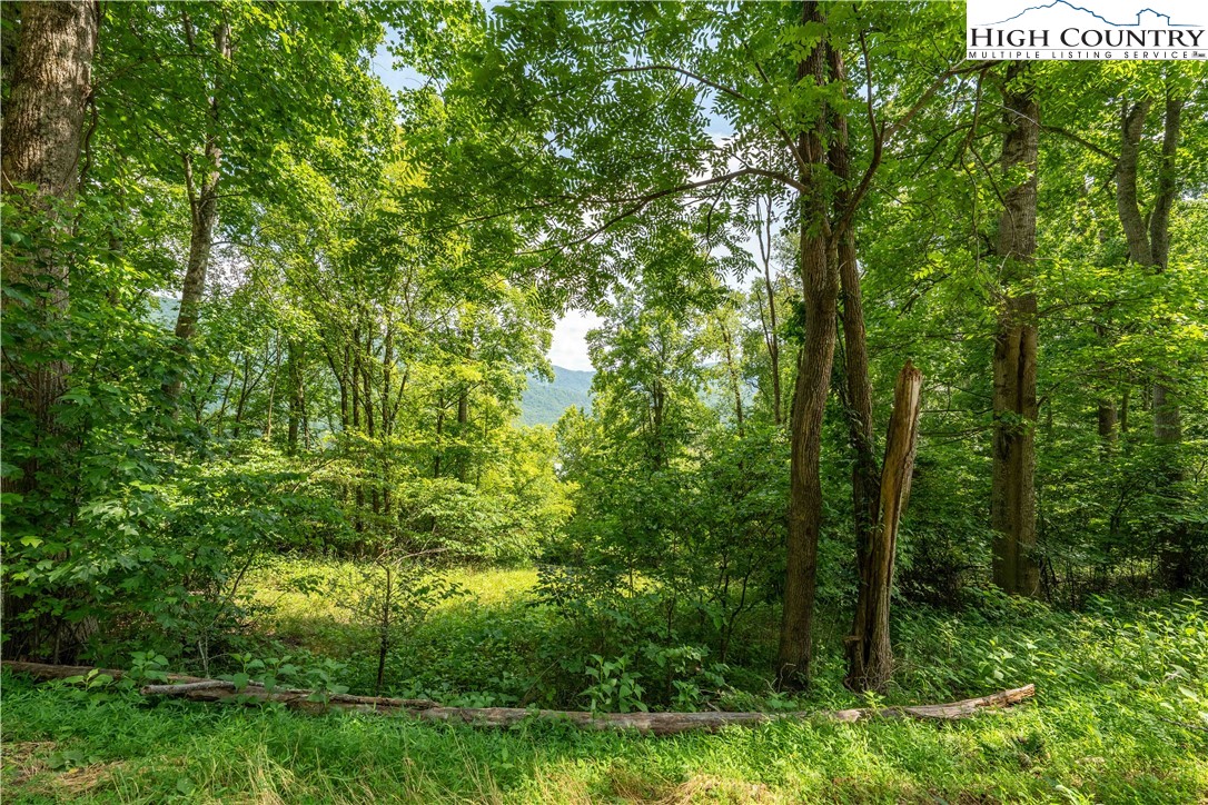 Lot 17 Lake Ridge Butler, TN 37640 - Photo 26 of 28 a view of outdoor space and trees