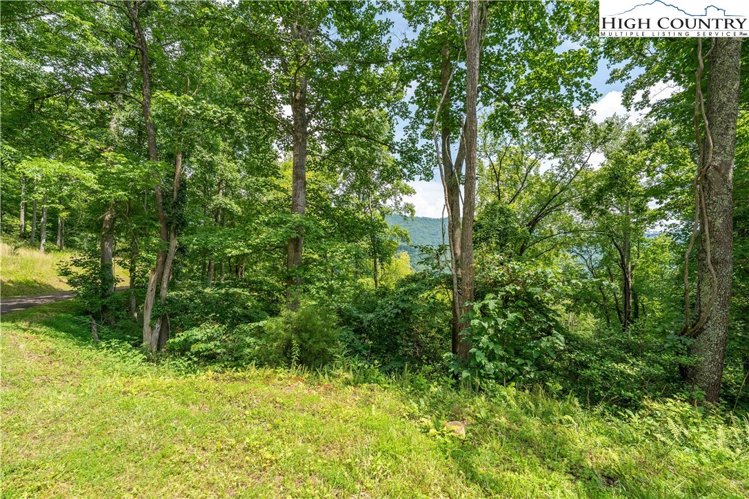 Lot 17 Lake Ridge Butler, TN 37640 - Photo 27 of 28 a view of a garden