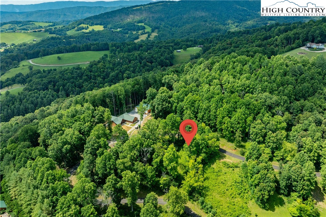 Lot 17 Lake Ridge Butler, TN 37640 - Photo 3 of 28 a view of a bunch of trees and bushes