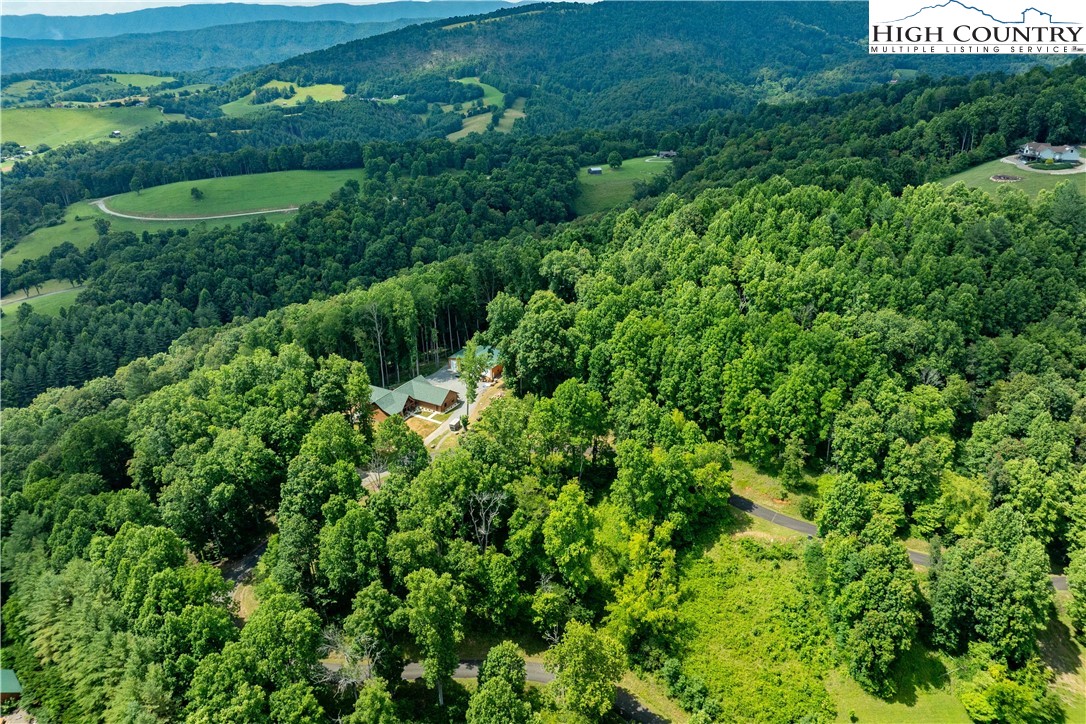 Lot 17 Lake Ridge Butler, TN 37640 - Photo 4 of 28 a view of a large yard with large trees