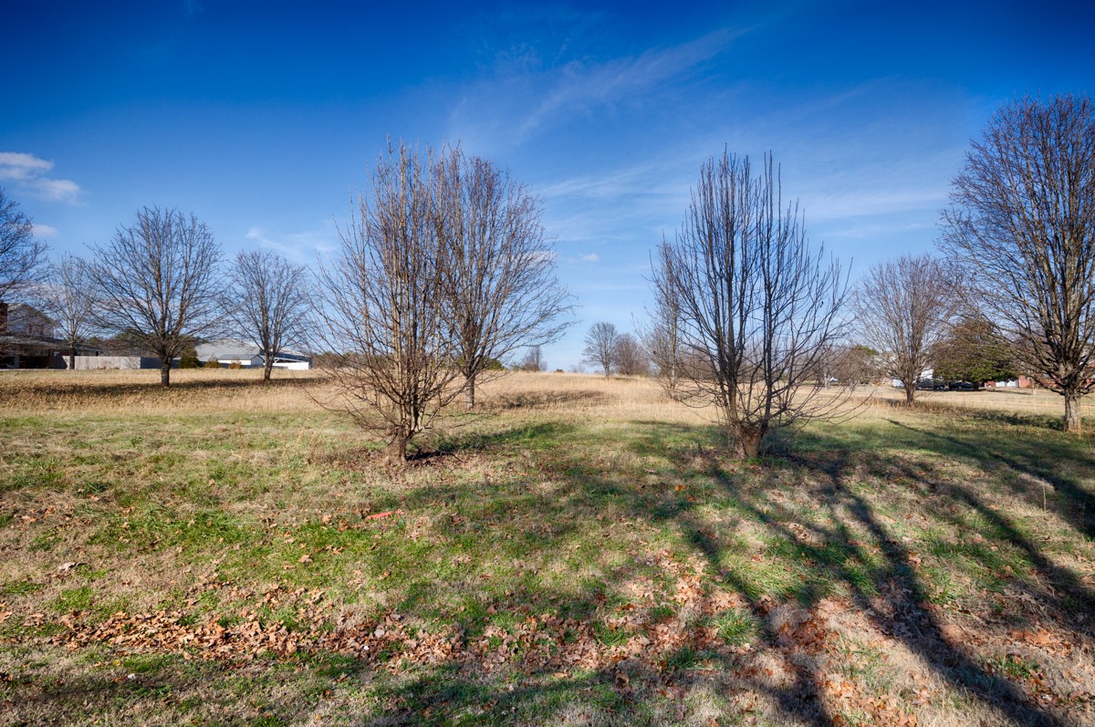 10 A Barksdale Road Athens, AL 35613 - Photo 6 of 9 Gallery Image 6