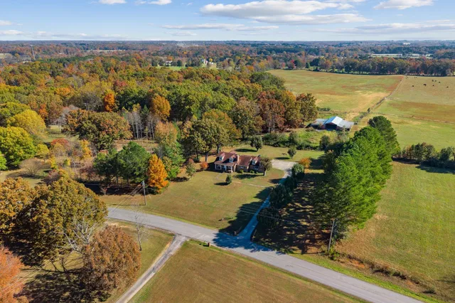 a view of a brick house with many windows plants and large tree